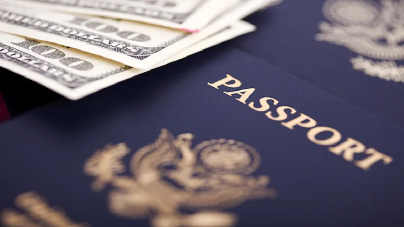 A brief guide to investing in Second Citizenship by Investment .png