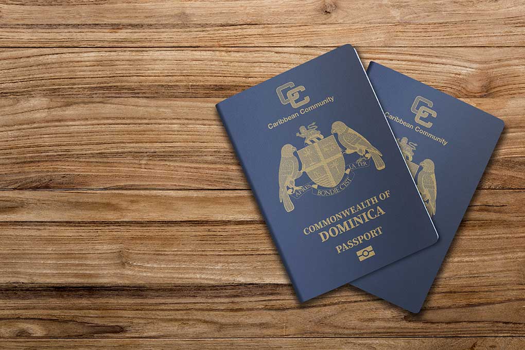 Benefits of having a dual Passport