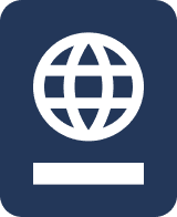 Web Vector icon blue