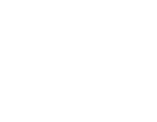 Canale Law