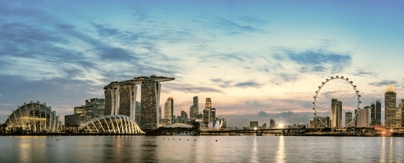 Singapore Panorama View